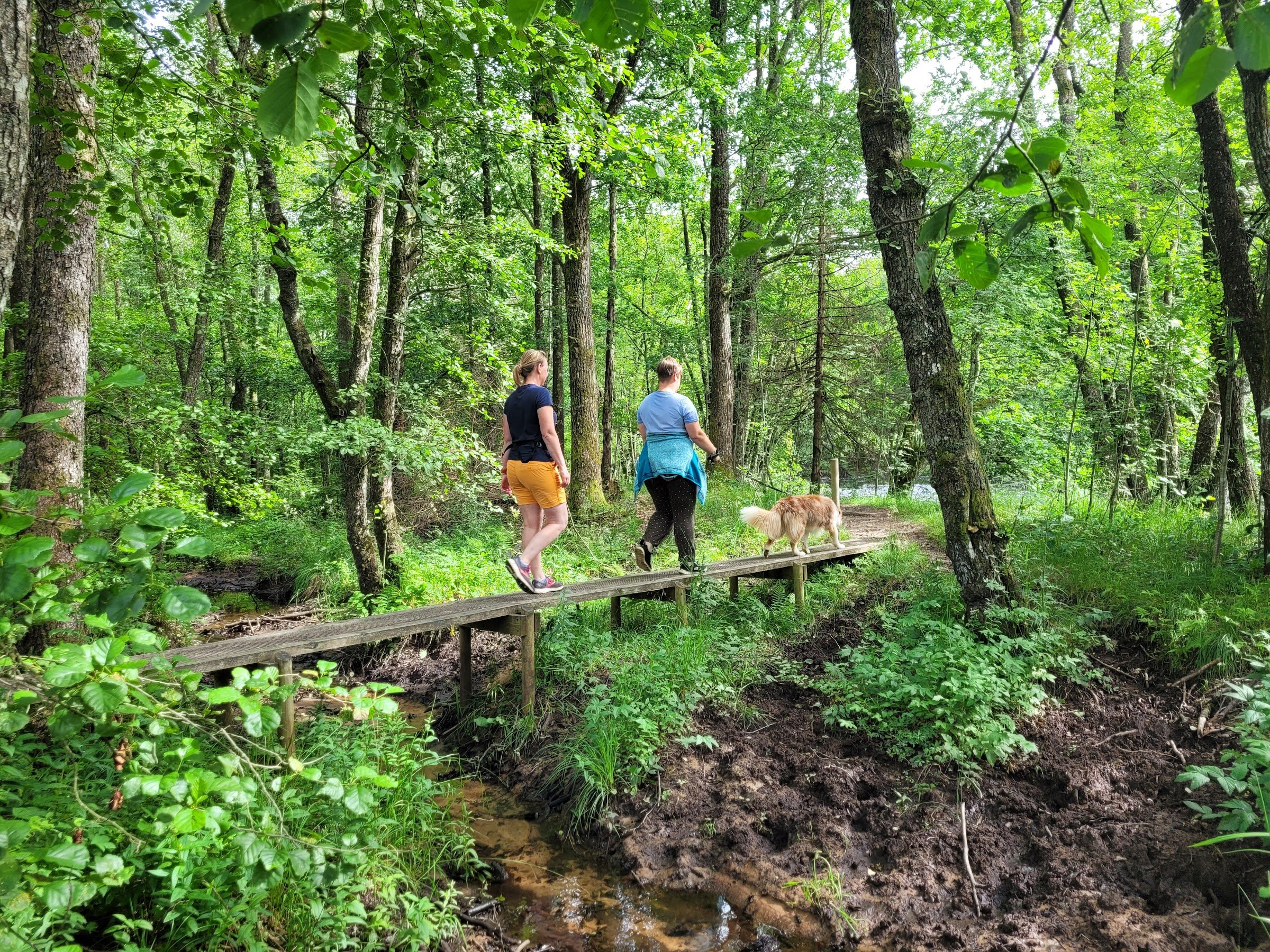 Sumpafallen Nature Reserve